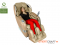 Massage chair OGAWA SMART CRAFT PRO OG7208 Beige