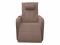 Recliner massage chair with lift FUJIMO LIFT CHAIR F3005 FLFL Terra (Sakura 20)